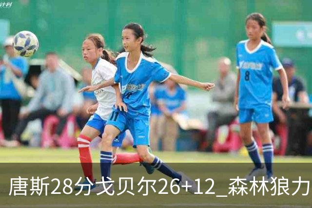 唐斯28分戈贝尔26+12 森林狼力克黄蜂4连胜